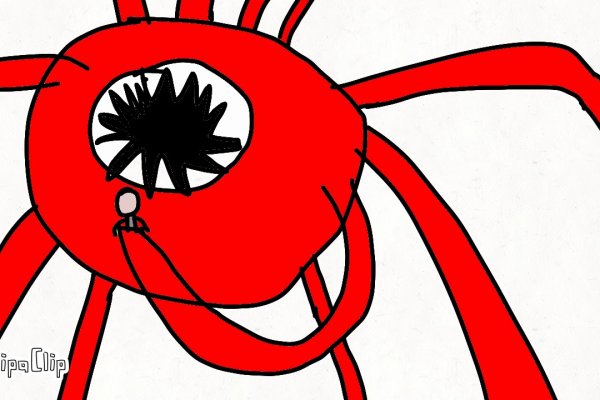 Kraken 11at